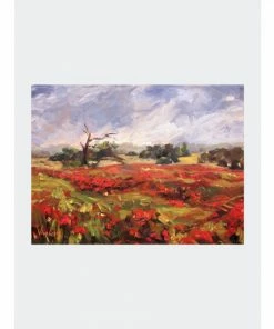 John Beard Collection Blaze Of Poppies Art