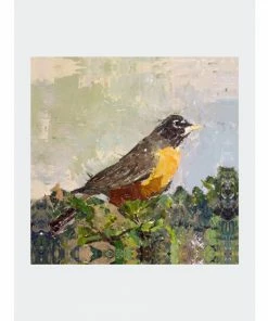 John Beard Collection Robin Bird Art