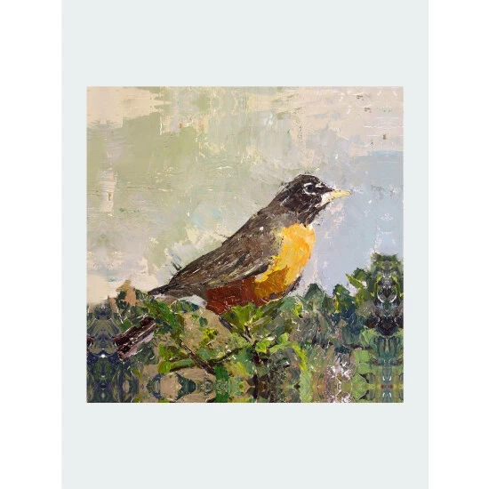 John Beard Collection Robin Bird Art 1 John Beard Collection Robin Bird Art