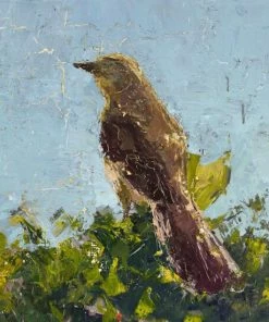 John Beard Collection Sparrow Art